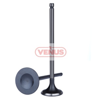 Engine_valve